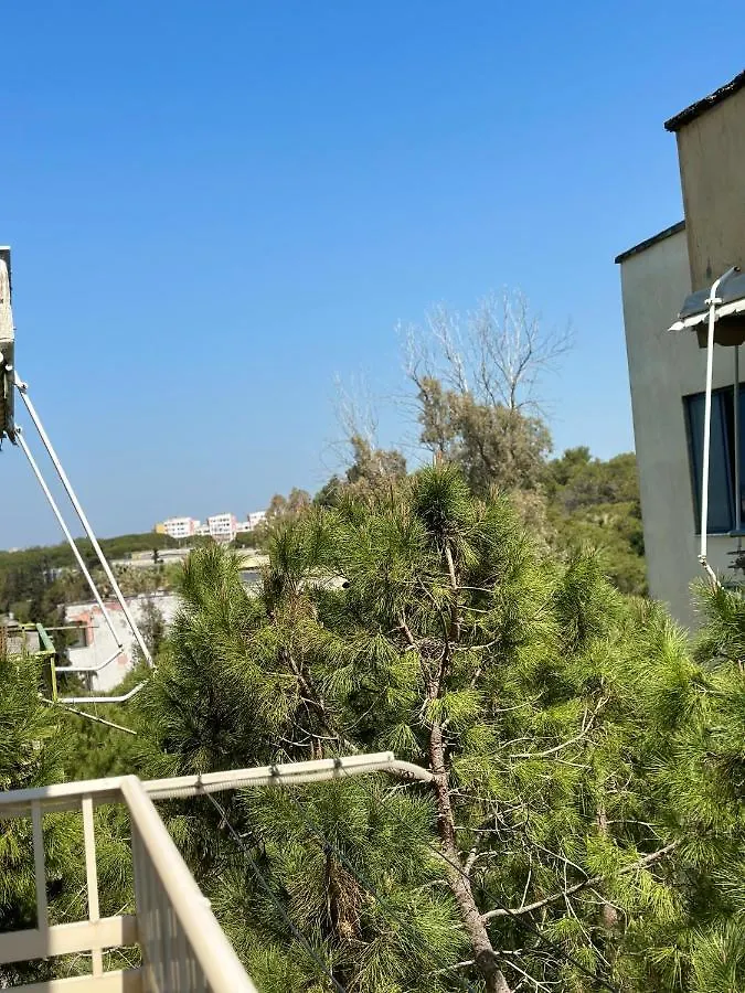 Roan Apartament Near Sea contacts